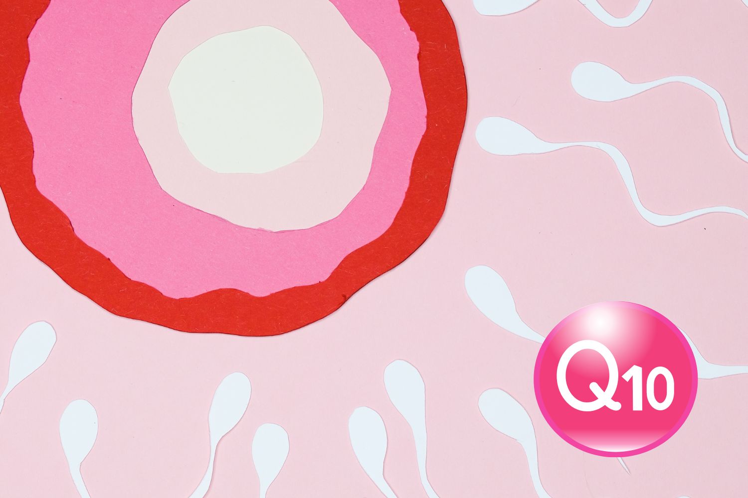 coq10 and fertility