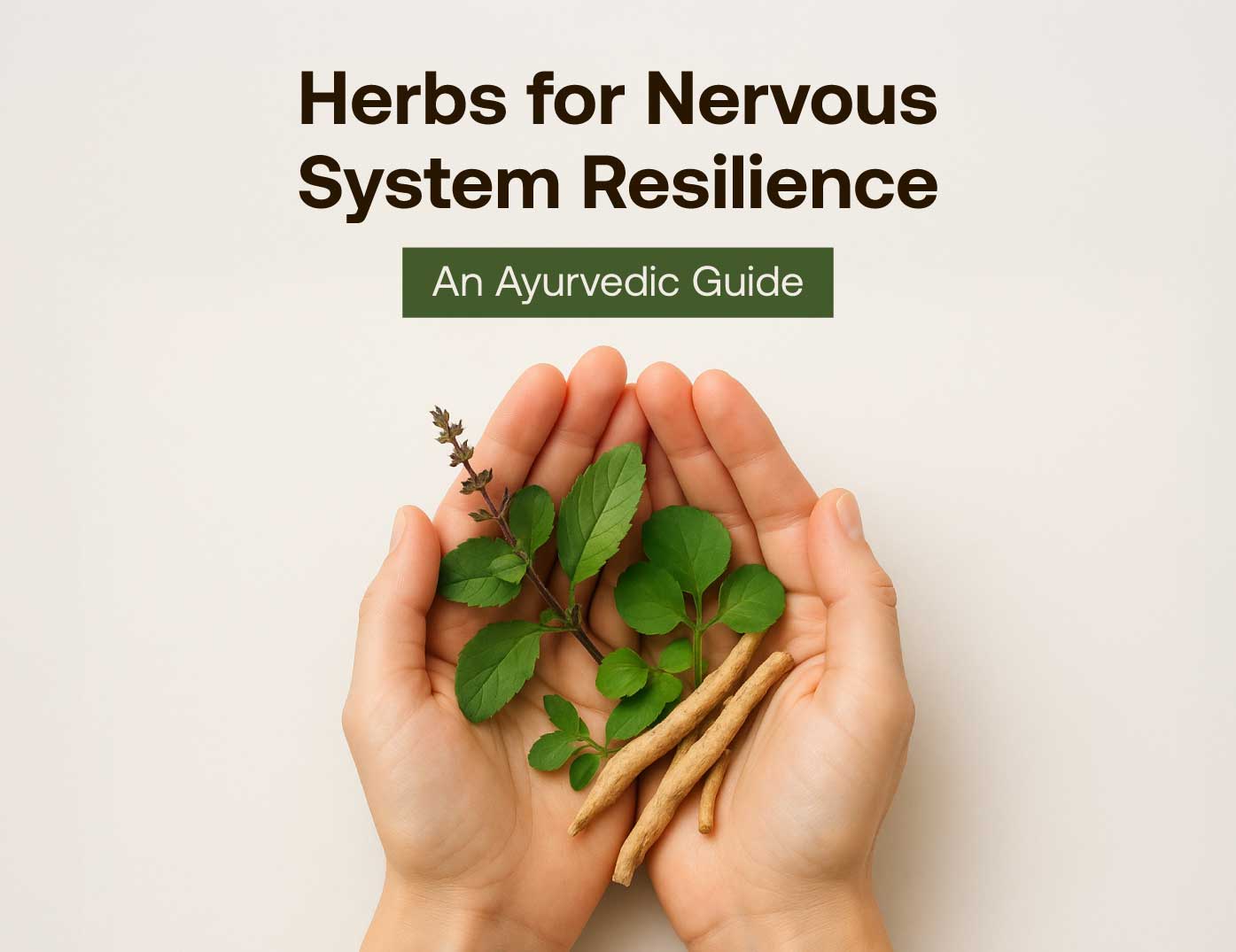 Herbs for nervous system resilience