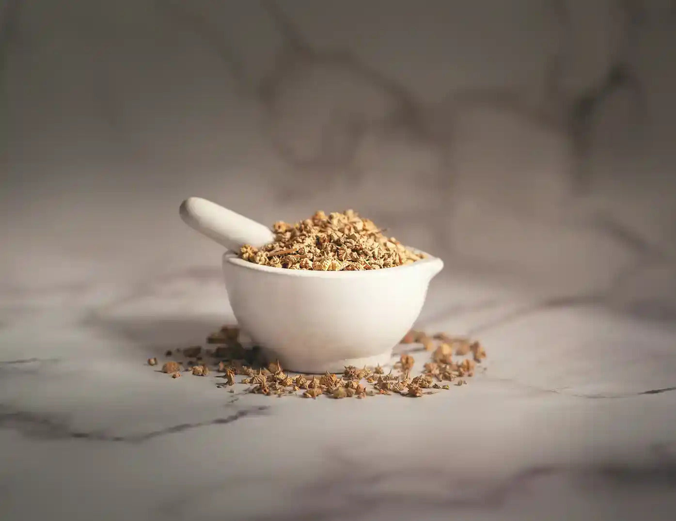 Gokshura for male fertility
