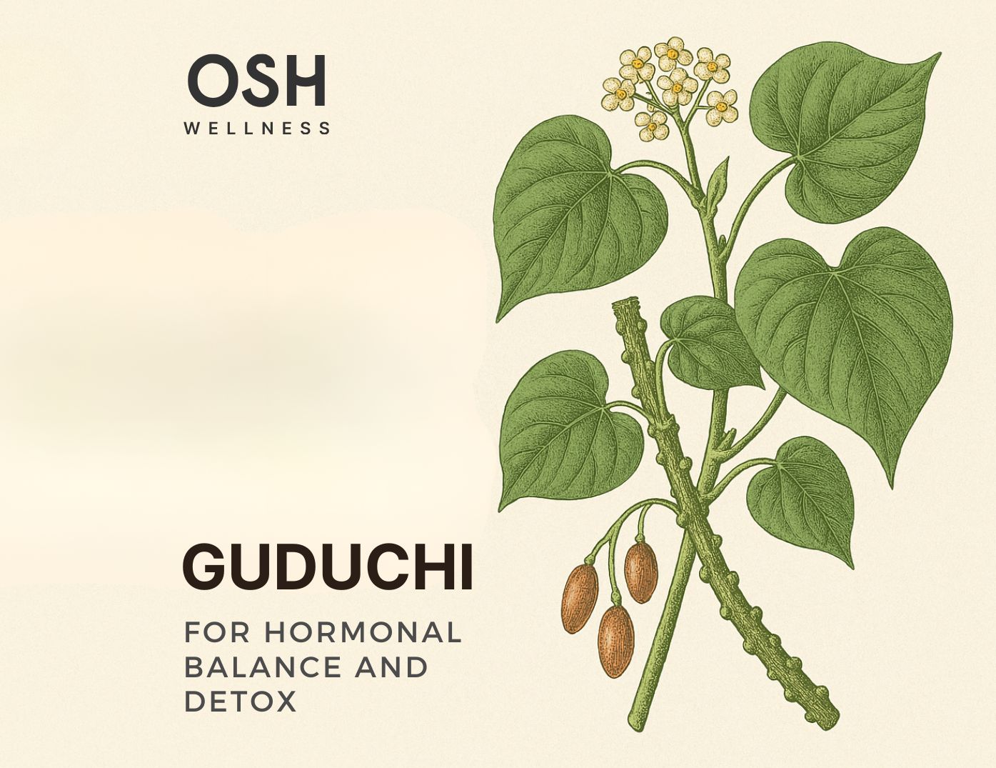 Guduchi and Hormones