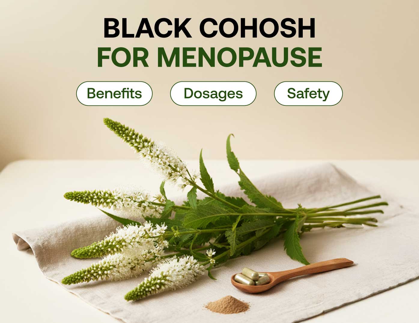 black cohosh for menopause