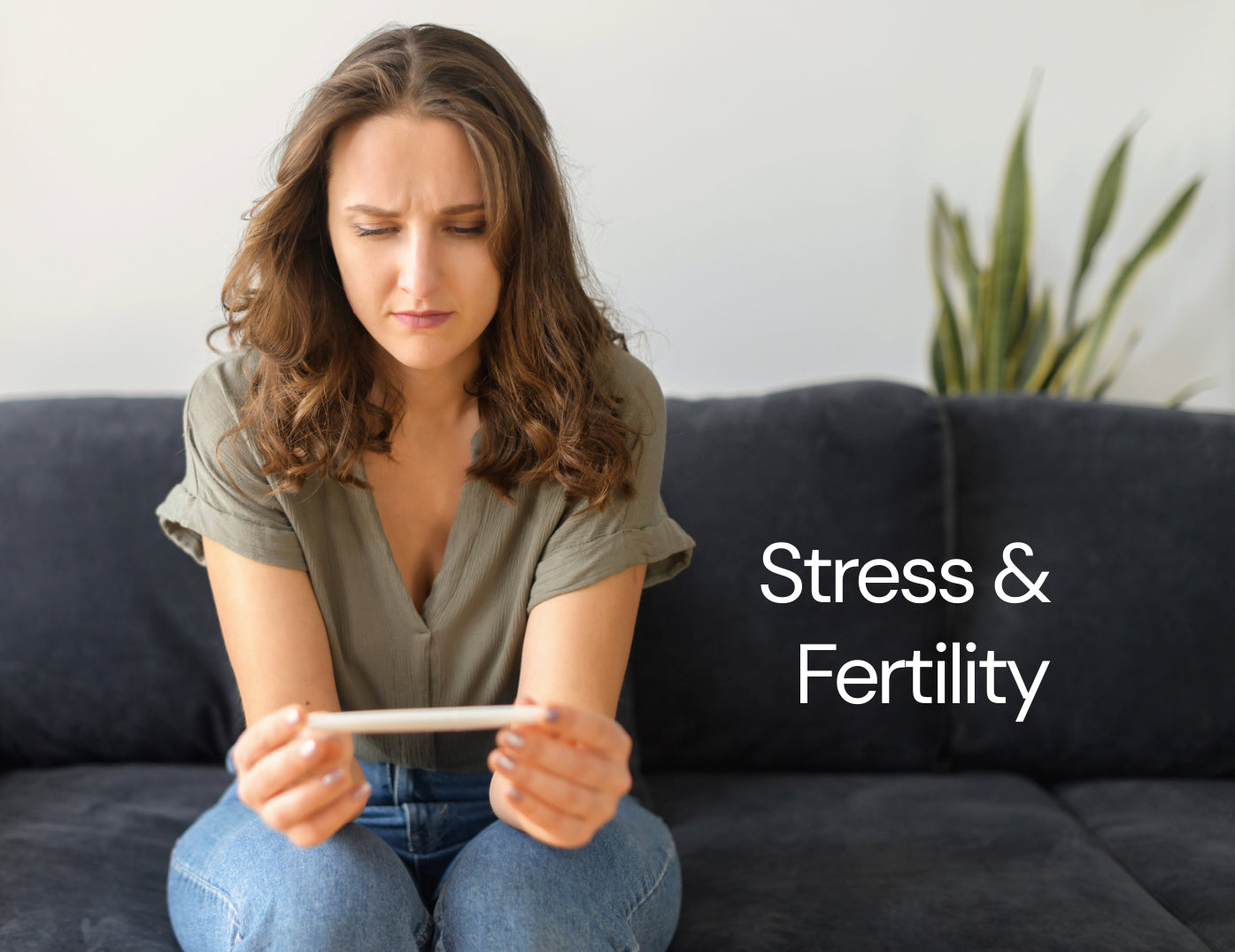 Stress and Fertility