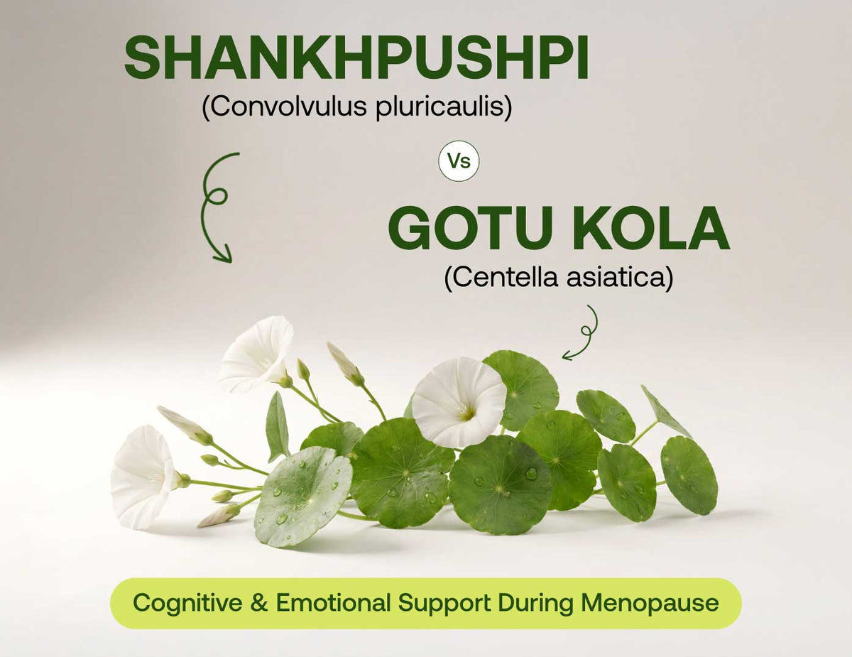 Shankhpushpi vs gotu kola