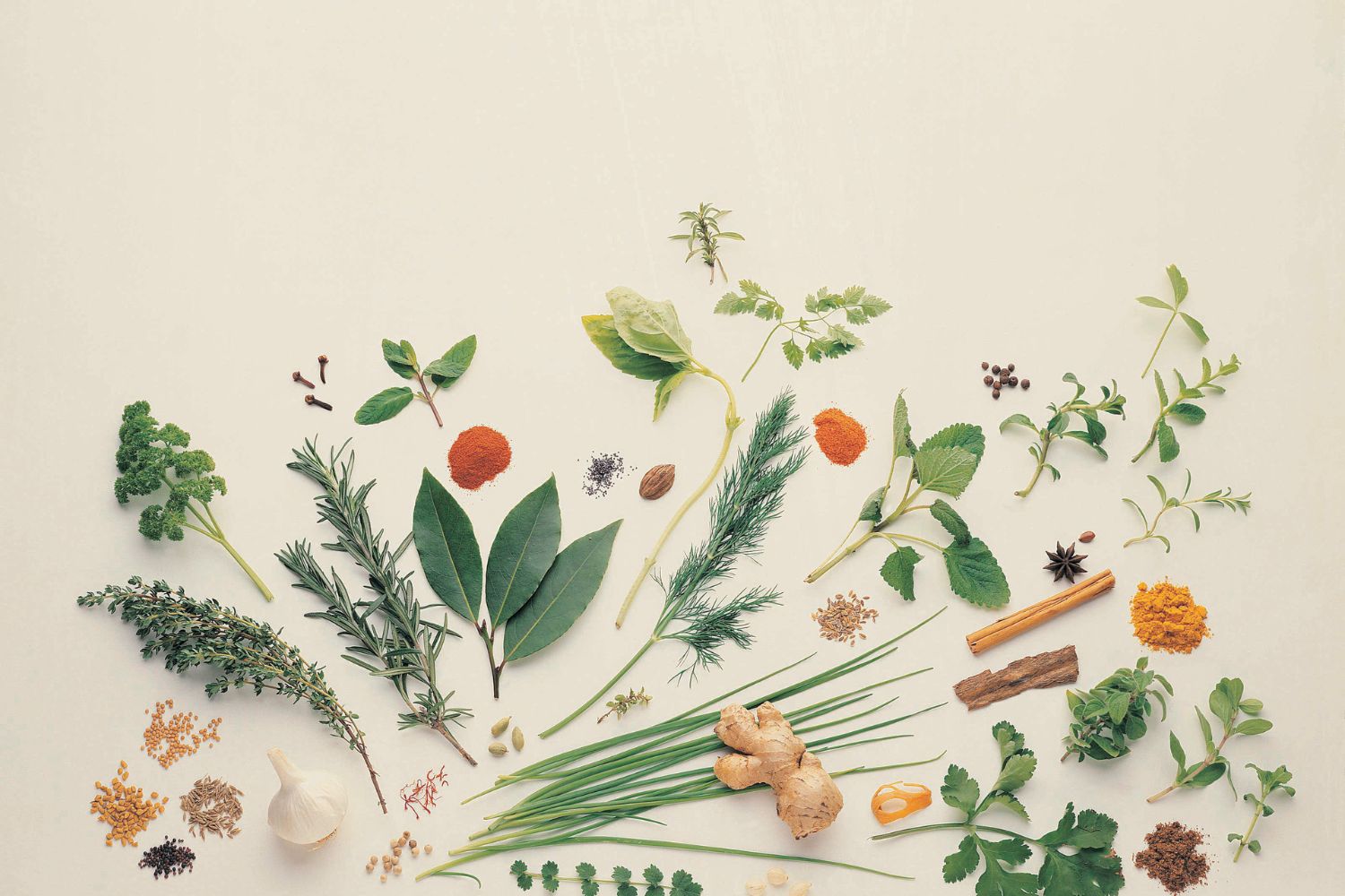Herbs for Lactation