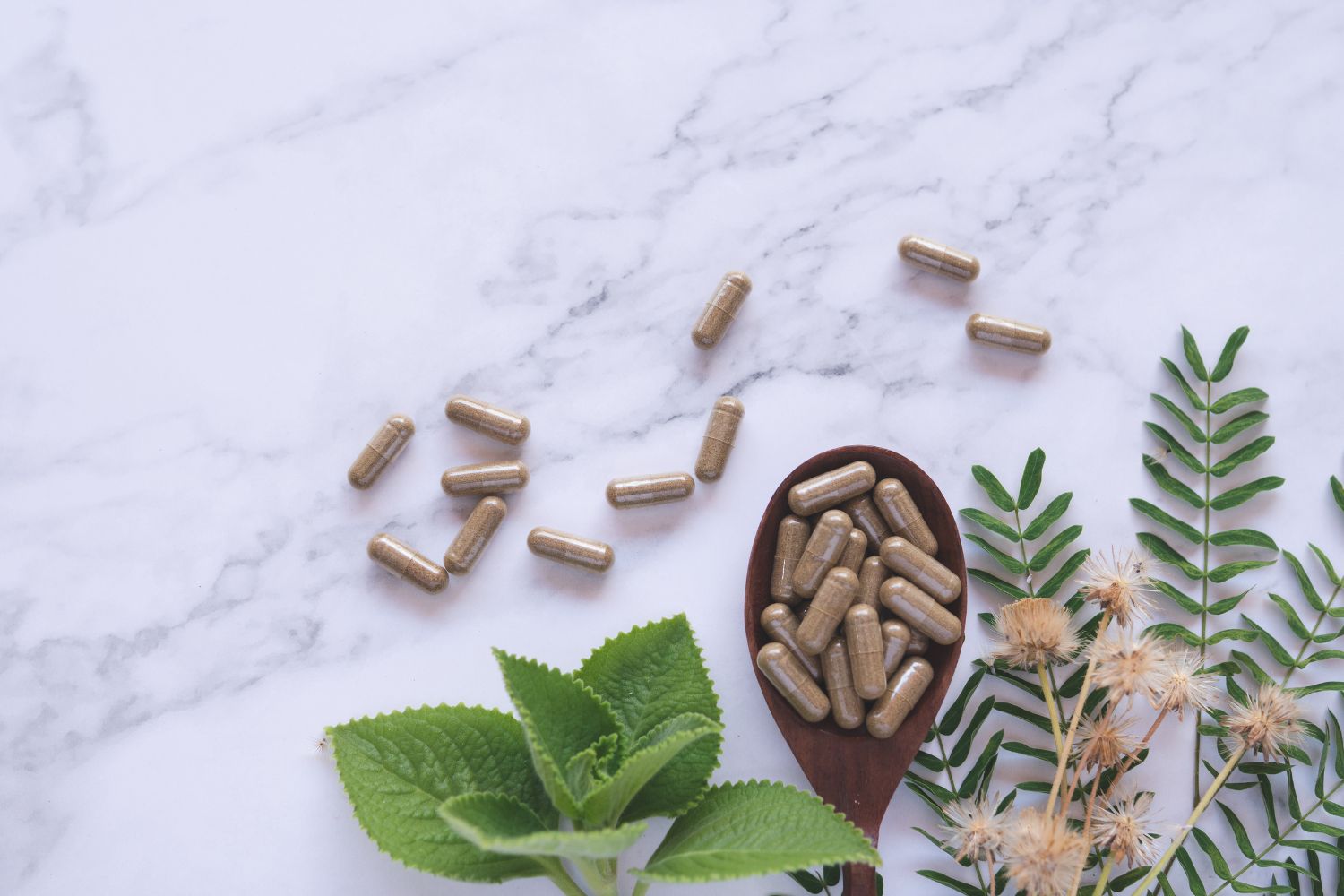 Mood Support supplements