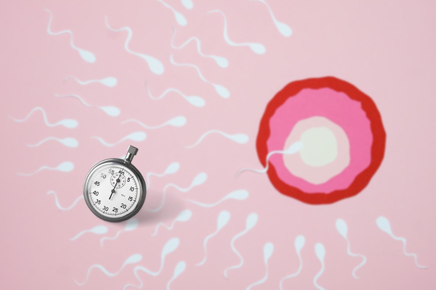 Sperm Life