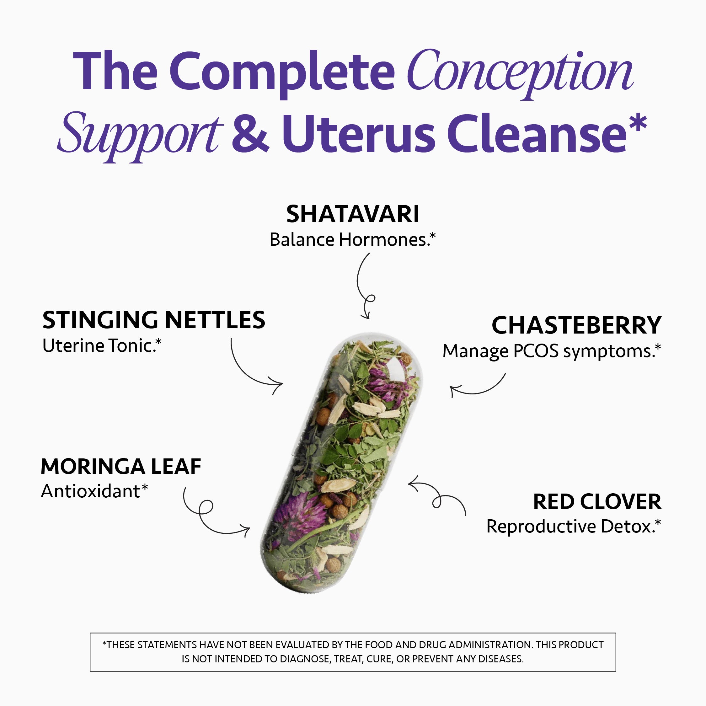 PRE-CONCEPTION CLEANSE