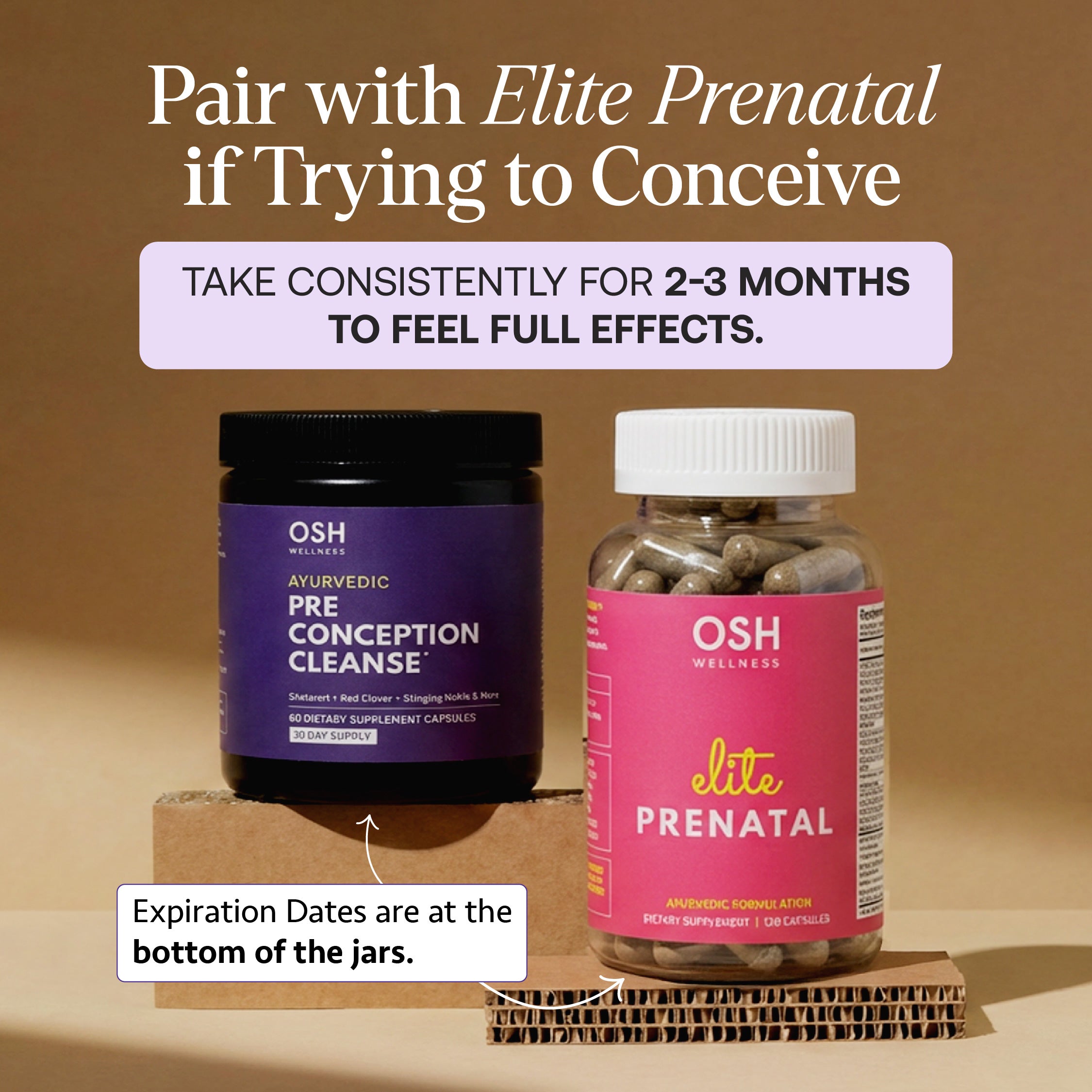 PRE-CONCEPTION CLEANSE