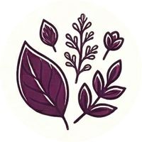 Alt Image