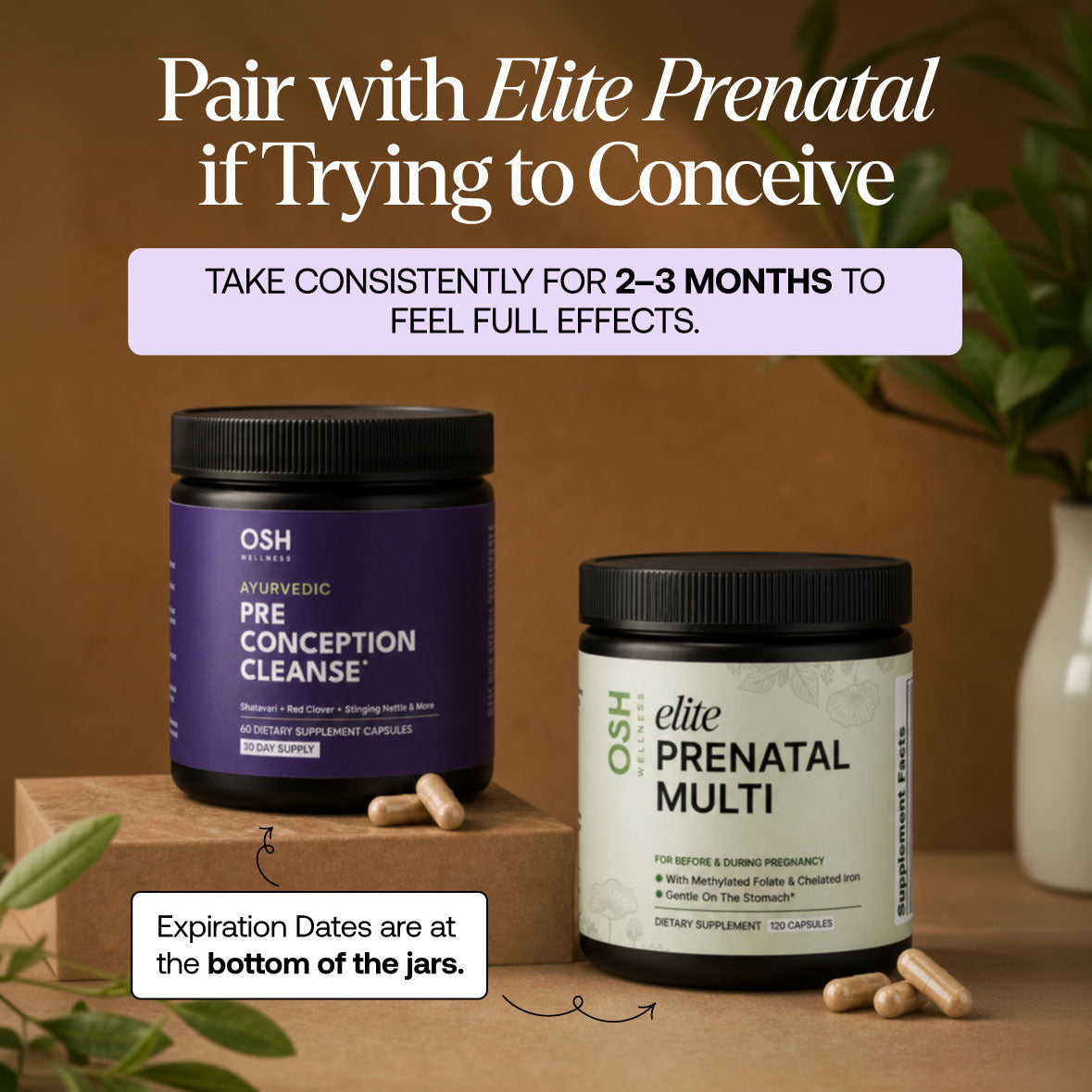 PRE-CONCEPTION CLEANSE