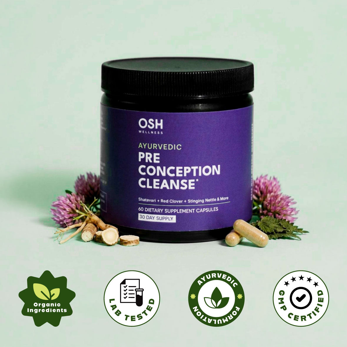 PRE-CONCEPTION CLEANSE